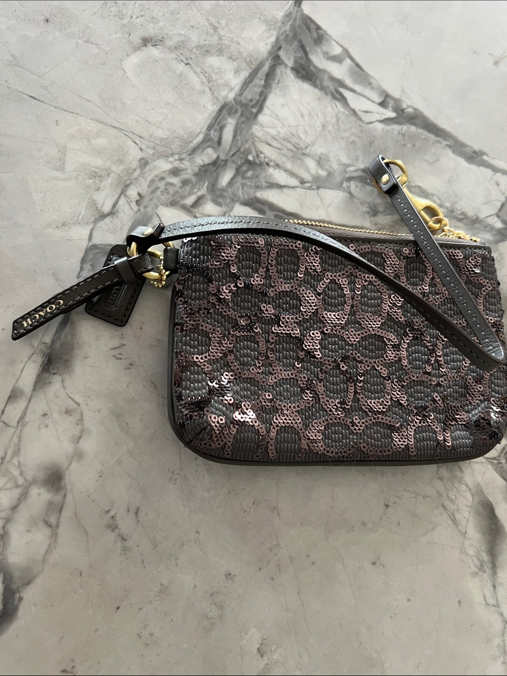 Coach Poppy Signature Sequin Small Wristlet in Grey